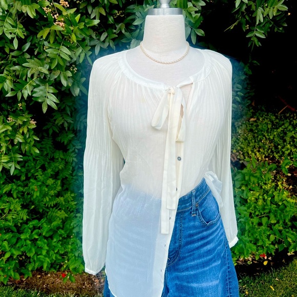 Lane Bryant Sheer Cream Button Down Blouse - Picture 3 of 6